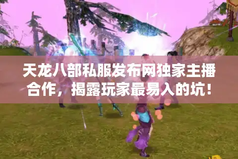 天龙八部私服发布网独家主播合作，揭露玩家最易入的坑！