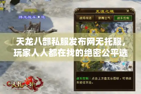天龙八部私服发布网无托服，玩家人人都在找的绝密公平选择法