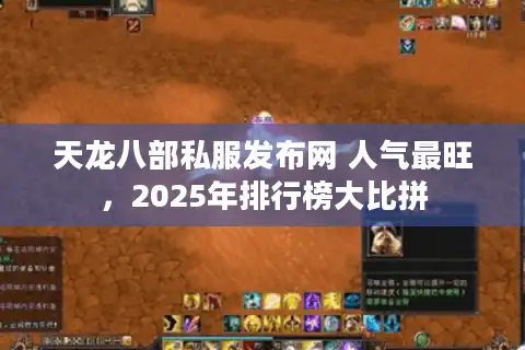天龙八部私服发布网 人气最旺，2025年排行榜大比拼