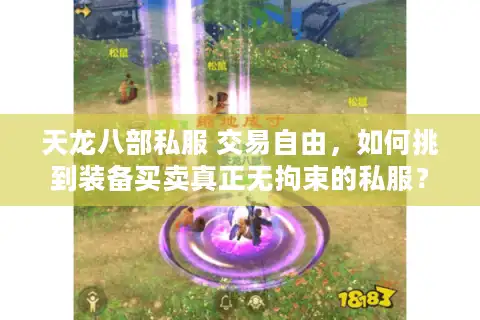 天龙八部私服 交易自由，如何挑到装备买卖真正无拘束的私服？