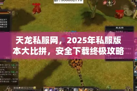 天龙私服网，2025年私服版本大比拼，安全下载终极攻略