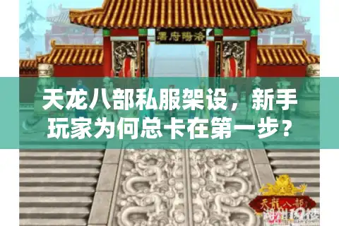 天龙八部私服架设，新手玩家为何总卡在第一步？