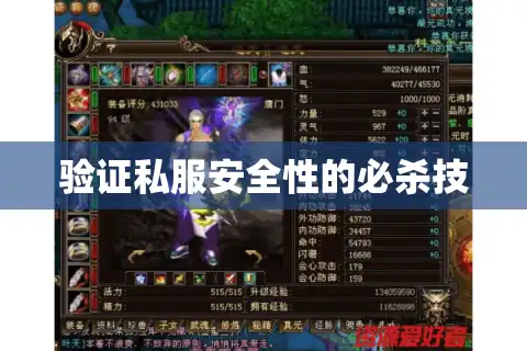 验证私服安全性的必杀技