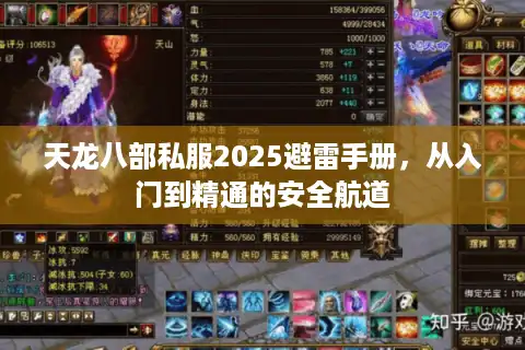 天龙八部私服2025避雷手册，从入门到精通的安全航道