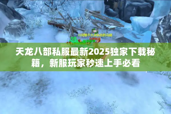 天龙八部私服最新2025独家下载秘籍，新服玩家秒速上手必看