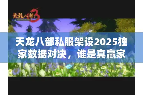 天龙八部私服架设2025独家数据对决，谁是真赢家？