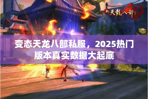 变态天龙八部私服，2025热门版本真实数据大起底