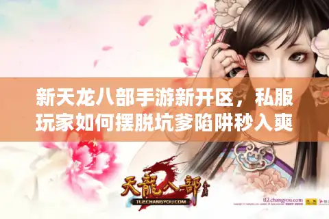 新天龙八部手游新开区，私服玩家如何摆脱坑爹陷阱秒入爽玩？