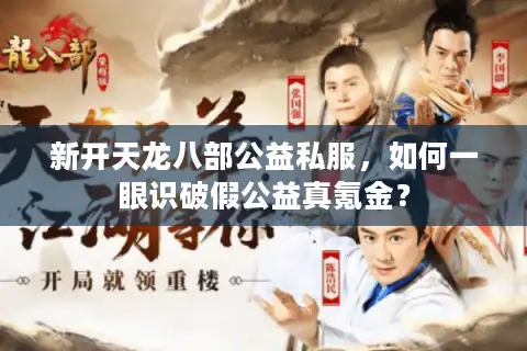 新开天龙八部公益私服，如何一眼识破假公益真氪金？