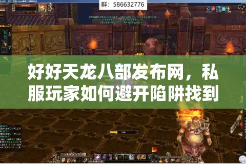 好好天龙八部发布网，私服玩家如何避开陷阱找到顶级体验？