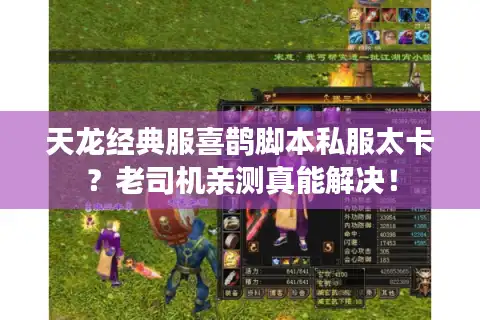 天龙经典服喜鹊脚本私服太卡？老司机亲测真能解决！