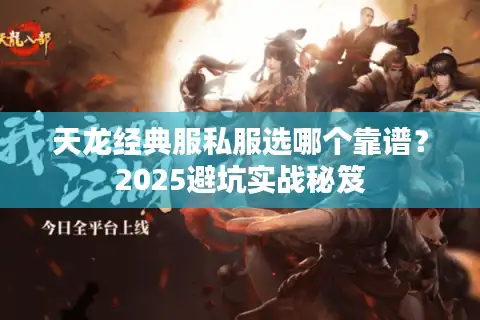 天龙经典服私服选哪个靠谱？2025避坑实战秘笈