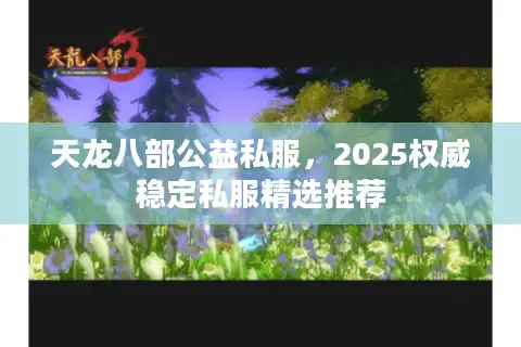 天龙八部公益私服，2025权威稳定私服精选推荐