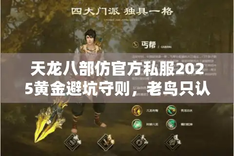 天龙八部仿官方私服2025黄金避坑守则，老鸟只认这三条