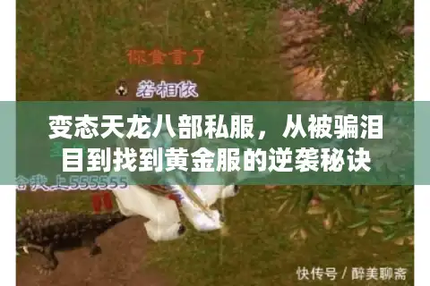 变态天龙八部私服,从被骗泪目到找到黄金服的逆袭秘诀 变态天龙八部私服,从被骗泪目到找到黄金服的逆袭秘诀