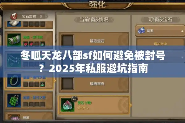 冬呱天龙八部sf如何避免被封号？2025年私服避坑指南