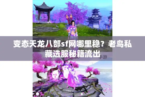 变态天龙八部sf网哪里稳？老鸟私藏选服秘籍流出