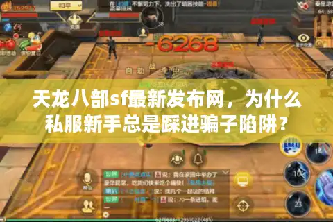 天龙八部sf最新发布网，为什么私服新手总是踩进骗子陷阱？