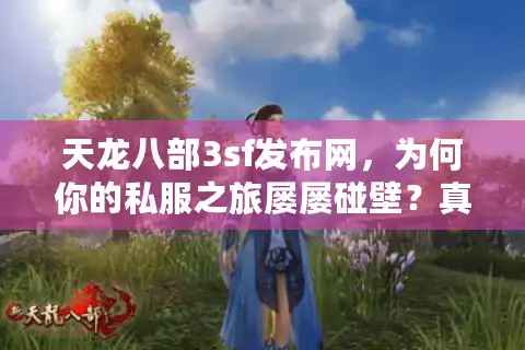 天龙八部3sf发布网，为何你的私服之旅屡屡碰壁？真实解决秘诀揭晓