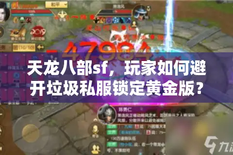 天龙八部sf，玩家如何避开垃圾私服锁定黄金版？
