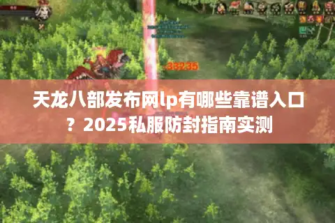 天龙八部发布网lp有哪些靠谱入口？2025私服防封指南实测