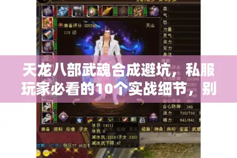 天龙八部武魂合成避坑，私服玩家必看的10个实战细节，别再浪费玄冰髓！