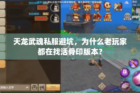 天龙武魂私服避坑，为什么老玩家都在找活骨印版本？