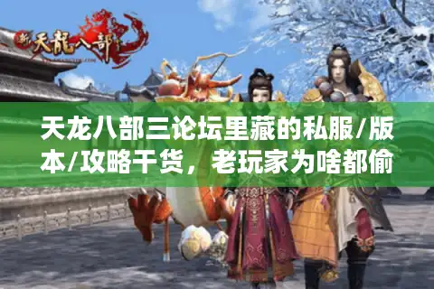 天龙八部三论坛里藏的私服/版本/攻略干货，老玩家为啥都偷偷看？