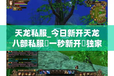 天龙私服_今日新开天龙八部私服▷一秒新开◁独家版本福利站