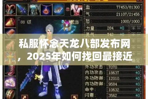 私服怀念天龙八部发布网，2025年如何找回最接近原版的江湖？