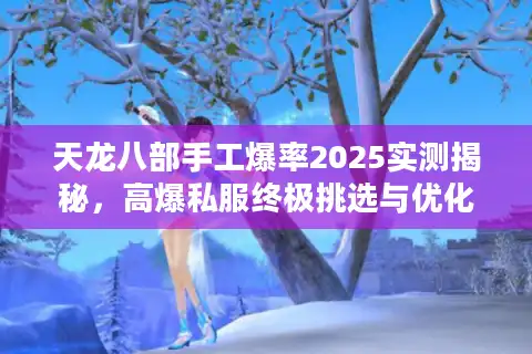 天龙八部手工爆率2025实测揭秘，高爆私服终极挑选与优化技巧