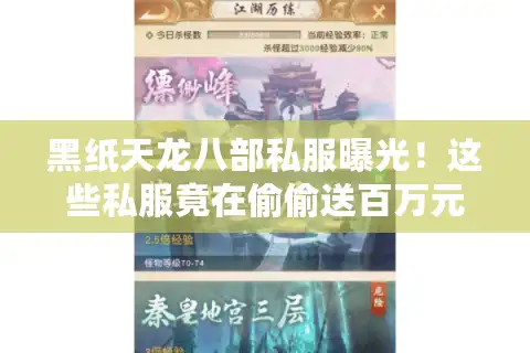 黑纸天龙八部私服曝光！这些私服竟在偷偷送百万元宝？