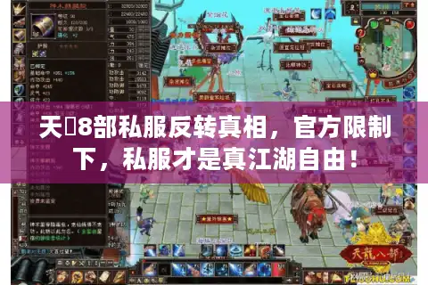 天龍8部私服反转真相，官方限制下，私服才是真江湖自由！