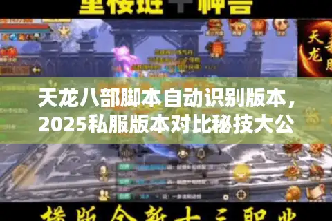 天龙八部脚本自动识别版本，2025私服版本对比秘技大公开