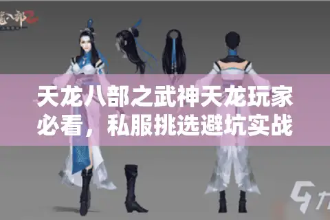 天龙八部之武神天龙玩家必看，私服挑选避坑实战录