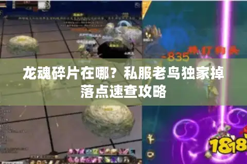 龙魂碎片在哪？私服老鸟独家掉落点速查攻略