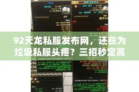 92天龙私服发布网，还在为垃圾私服头疼？三招秒定高倍经验服