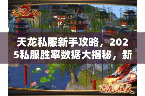天龙私服新手攻略，2025私服胜率数据大揭秘，新手选版本赢在开局