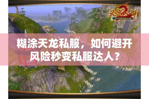 糊涂天龙私服，如何避开风险秒变私服达人？