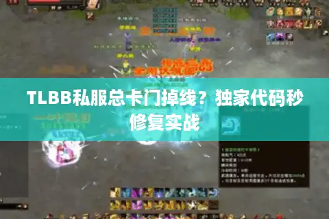 TLBB私服总卡门掉线？独家代码秒修复实战