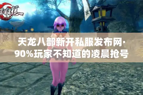 天龙八部新开私服发布网·90%玩家不知道的凌晨抢号技巧