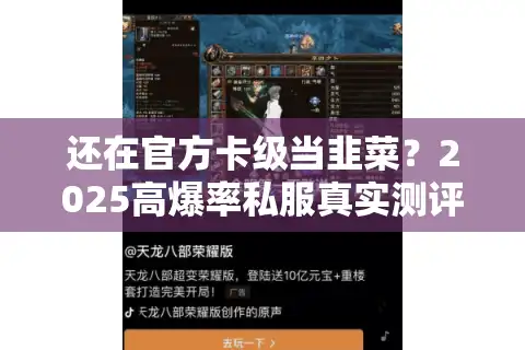 还在官方卡级当韭菜？2025高爆率私服真实测评公开！
