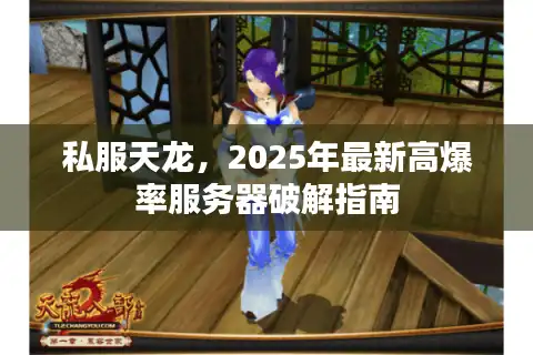 私服天龙，2025年最新高爆率服务器破解指南