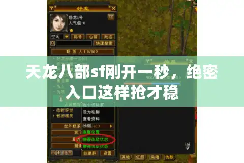 天龙八部sf刚开一秒，绝密入口这样抢才稳