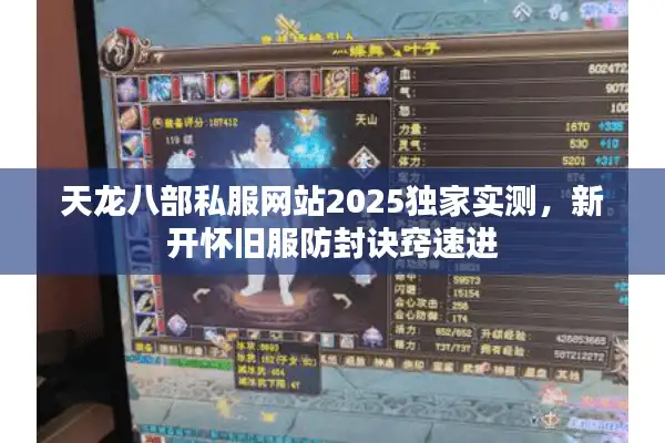 天龙八部私服网站2025独家实测，新开怀旧服防封诀窍速进