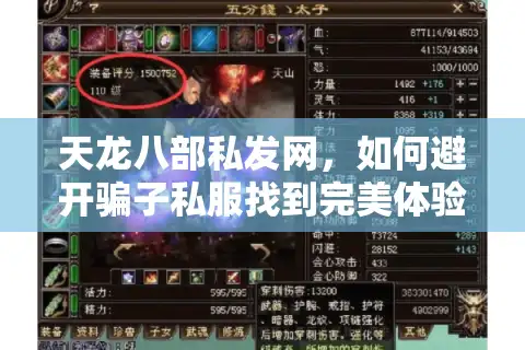 天龙八部私发网，如何避开骗子私服找到完美体验？