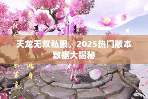 天龙无双私服，2025热门版本数据大揭秘