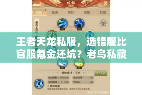 王者天龙私服，选错服比官服氪金还坑？老鸟私藏避雷手册