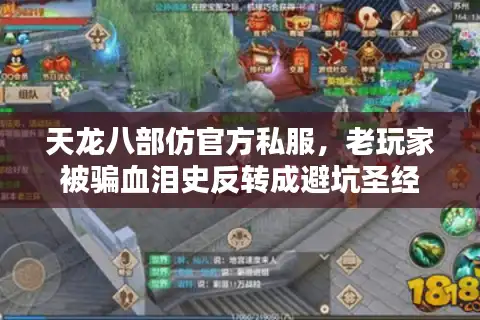 天龙八部仿官方私服，老玩家被骗血泪史反转成避坑圣经