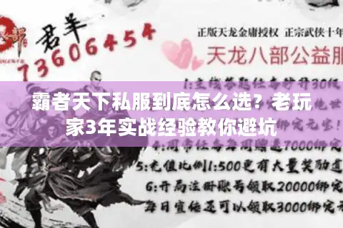 霸者天下私服到底怎么选？老玩家3年实战经验教你避坑